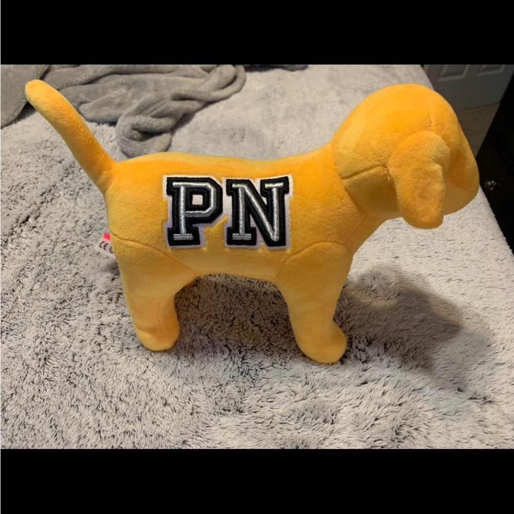 Victoria Secret Dog